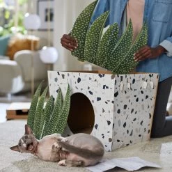 Frisco Potted Succulent Cardboard Cat House -Pet Cat Supplies Shop 317723 PT3. AC SS1800 V1688677248
