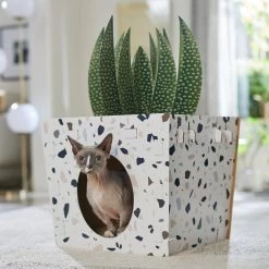 Frisco Potted Succulent Cardboard Cat House -Pet Cat Supplies Shop 317723 PT4. AC SS1800 V1688677260