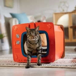 Frisco TV Set Cardboard Cat House 12 Frisco TV Set Cardboard Cat House -Pet Cat Supplies Shop 317731 PT4. AC SS1800 V1688677247