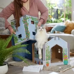 Frisco Greenhouse Cardboard Cat House -Pet Cat Supplies Shop 317737 PT3. AC SS1800 V1688677249