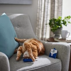 Frisco Father's Day Card Felt Cat Toy With Catnip, 2 Count -Pet Cat Supplies Shop 327029 PT3. AC SS1800 V1648667305