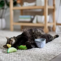 Frisco Guacamole Bowl Cat Toy With Catnip, Medium, 4 Count -Pet Cat Supplies Shop 327059 PT3. AC SS1800 V1645205519