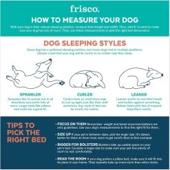 Frisco Cat Donut Bed -Pet Cat Supplies Shop 333854 PT3. AC SS1800 V1658718001