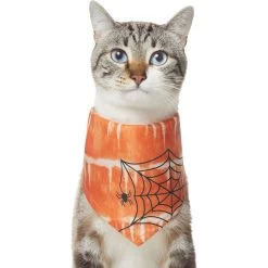 Frisco Orange Spiderweb Dog & Cat Costume Bandana -Pet Cat Supplies Shop 335046 PT2. AC SS1800 V1658716498