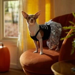 Frisco Silver Metallic Skull Dog & Cat Dress -Pet Cat Supplies Shop 335154 PT7. AC SS1800 V1657663214