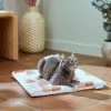 Frisco Reversible Square Cat Pad, Calico Cat -Pet Cat Supplies Shop 336834 MAIN. AC SS1800 V1658461724