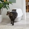 Frisco Modern Hooded Cat Litter Box -Pet Cat Supplies Shop 341985 MAIN. AC SS1800 V1642605052