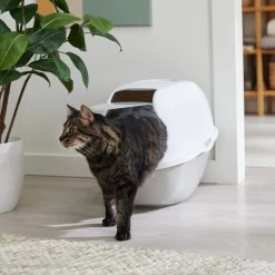Frisco Modern Hooded Cat Litter Box