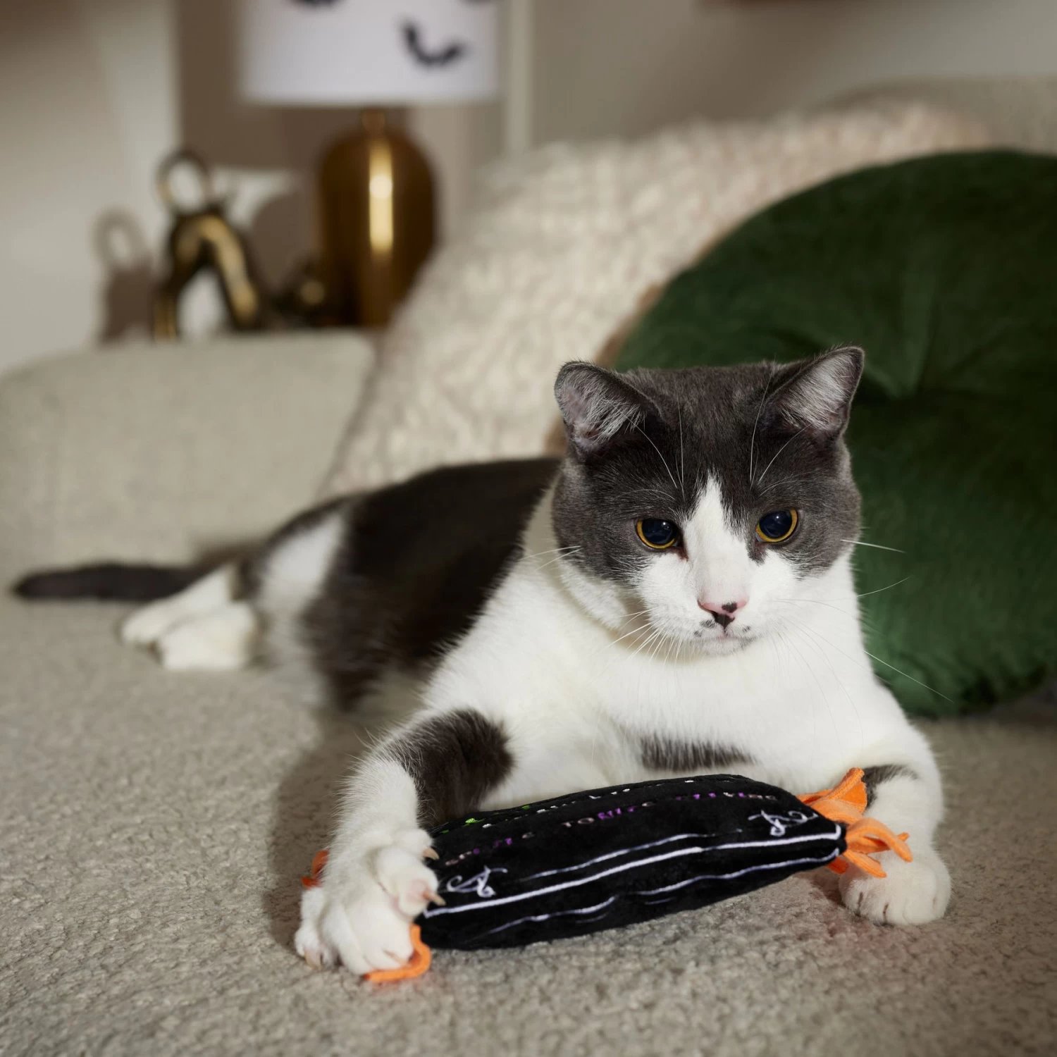 Frisco Halloween A-Paw-Thecary Kicker Plush Cat Toy With Catnip 5 Frisco Halloween A-Paw-Thecary Kicker Plush Cat Toy With Catnip - Image 3