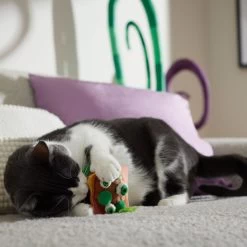 Frisco Haunted Burger Plush Cat Toy With Catnip 7 Frisco Haunted Burger Plush Cat Toy With Catnip -Pet Cat Supplies Shop 344056 PT3. AC SS1800 V1657657030