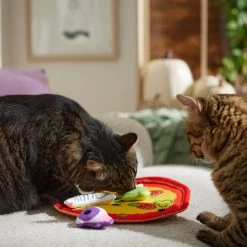 Frisco Halloween Spooky Pizza Interactive Plush Cat Toy With Catnip -Pet Cat Supplies Shop 344066 PT3. AC SS1800 V1657657031