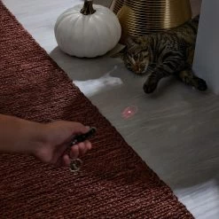 Frisco Halloween Skull Laser Cat Toy -Pet Cat Supplies Shop 344068 PT3. AC SS1800 V1659279988