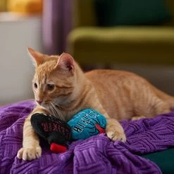 Frisco Halloween Elixirs Plush Cat Toy With Catnip -Pet Cat Supplies Shop 344070 PT3. AC SS1800 V1657657033