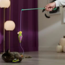 Frisco Halloween Potion Teaser Wand Cat Toy With Catnip 8 Frisco Halloween Potion Teaser Wand Cat Toy With Catnip -Pet Cat Supplies Shop 344076 PT3. AC SS1800 V1657657033