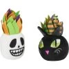 Frisco Halloween Succulents Plush Cat Toy With Catnip, 2 Count -Pet Cat Supplies Shop 344082 MAIN. AC SS1800 V1657657033