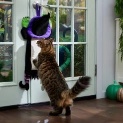 Frisco Halloween Witch Doorknob Hanger Cat Toy With Catnip -Pet Cat Supplies Shop 344092 PT3. AC SS1800 V1657657035