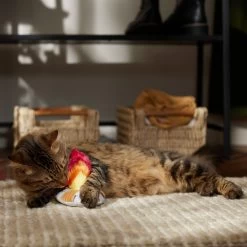 Frisco Fall Campfire Plush Cat Toy With Catnip -Pet Cat Supplies Shop 344178 PT3. AC SS1800 V1659023182