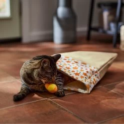 Frisco Fall Leaf Cat Sack Cat Toy With Catnip 10 Frisco Fall Leaf Cat Sack Cat Toy With Catnip -Pet Cat Supplies Shop 344184 PT3. AC SS1800 V1659023183