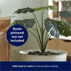 Frisco Hidden Planter Cat Litter Box, 16-in 12 Frisco Hidden Planter Cat Litter Box, 16-in -Pet Cat Supplies Shop 345566 PT4. AC SS1800 V1668737273