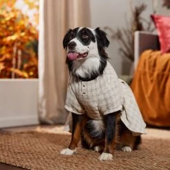 Frisco Tweed Weave Ruffle Skirt Dog & Cat Dress -Pet Cat Supplies Shop 353649 PT6. AC SS1800 V1660750168