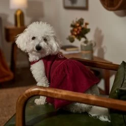 Frisco Sleepy Face Dog & Cat Dress -Pet Cat Supplies Shop 353657 PT6. AC SS1800 V1660750164