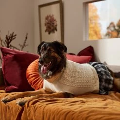 Frisco Plaid Dog & Cat Sweater Dress -Pet Cat Supplies Shop 353673 PT7. AC SS1800 V1660750173