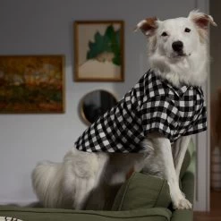Frisco Black Plaid Dog & Cat Shirt -Pet Cat Supplies Shop 353682 PT7. AC SS1800 V1660749685