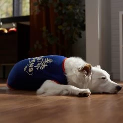 Frisco Shed Happens Dog & Cat T-Shirt -Pet Cat Supplies Shop 353698 PT7. AC SS1800 V1660749629