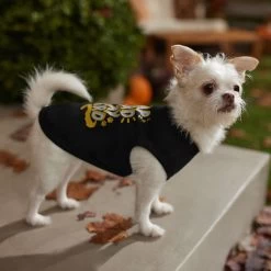 Frisco Nap Hard Play Hard Dog & Cat T-Shirt -Pet Cat Supplies Shop 353713 PT7. AC SS1800 V1660750172