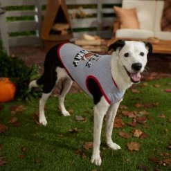 Frisco Little Champ Dog & Cat T-Shirt -Pet Cat Supplies Shop 353722 PT7. AC SS1800 V1660749632