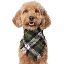 Frisco Plaid Fringe Dog & Cat Bandana -Pet Cat Supplies Shop 353769 PT2. AC SS1800 V1659010812