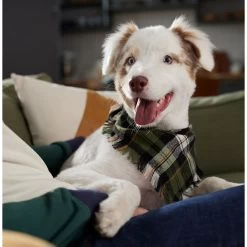 Frisco Plaid Fringe Dog & Cat Bandana -Pet Cat Supplies Shop 353769 PT6. AC SS1800 V1660749811