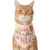 Frisco Cutest Pumpkin In The Patch Dog & Cat Bandana -Pet Cat Supplies Shop 353777 MAIN. AC SS1800 V1659010811