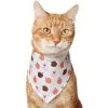 Frisco Apple Dog & Cat Bandana -Pet Cat Supplies Shop 353786 MAIN. AC SS1800 V1659011013
