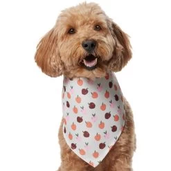 Frisco Apple Dog & Cat Bandana -Pet Cat Supplies Shop 353786 PT2. AC SS1800 V1661275129