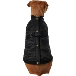 Frisco Lightweight Belted Puffer Dog & Cat Jacket -Pet Cat Supplies Shop 353825 PT2. AC SS1800 V1659010815