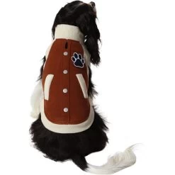 Frisco Lightweight Varsity Dog & Cat Jacket -Pet Cat Supplies Shop 353861 PT2. AC SS1800 V1659010873
