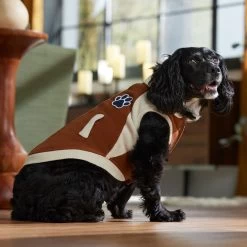 Frisco Lightweight Varsity Dog & Cat Jacket -Pet Cat Supplies Shop 353861 PT7. AC SS1800 V1660749417