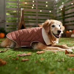 Frisco Mid-Heavyweight Fleece Lined Quilted Dog & Cat Coat -Pet Cat Supplies Shop 353877 PT7. AC SS1800 V1660750171