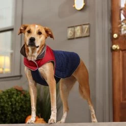 Frisco Mediumweight Cubed Dog & Cat Coat -Pet Cat Supplies Shop 353917 PT7. AC SS1800 V1660750073