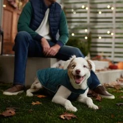 Frisco Mediumweight Reversible Dog & Cat Coat -Pet Cat Supplies Shop 353932 PT7. AC SS1800 V1660749442