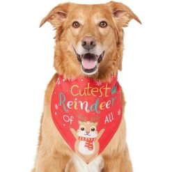 Frisco Cutest Reindeer Of All Dog & Cat Bandana -Pet Cat Supplies Shop 357931 PT2. AC SS1800 V1660756046