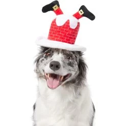 Frisco Down The Chimney Dog & Cat Headpiece -Pet Cat Supplies Shop 357934 PT2. AC SS1800 V1660756047