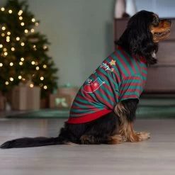 Frisco Naughty, Nice, I Tried Dog & Cat T-Shirt -Pet Cat Supplies Shop 358301 PT7. AC SS1800 V1661797473