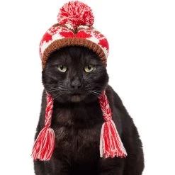 Frisco Reindeer Fair Isle Dog & Cat Pom Hat -Pet Cat Supplies Shop 358309 PT2. AC SS1800 V1660764825