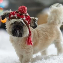 Frisco Reindeer Fair Isle Dog & Cat Pom Hat -Pet Cat Supplies Shop 358309 PT4. AC SS1800 V1661797821