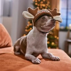 Frisco Antler Fair Isle Dog & Cat Hat -Pet Cat Supplies Shop 358313 PT4. AC SS1800 V1661798696