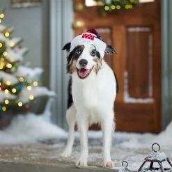 Frisco Ho Ho Ho Dog & Cat Hat -Pet Cat Supplies Shop 358475 PT4. AC SS1800 V1661806265