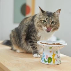 Frisco Cat Face Floral Wide Shape Elevated Non-Skid Ceramic Cat Bowl -Pet Cat Supplies Shop 363377 PT3. AC SS1800 V1657657267
