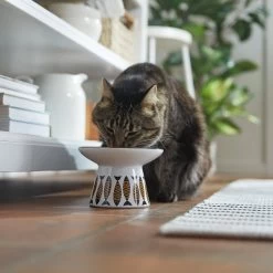 Frisco Cat Face Wide Shape Elevated Non-Skid Ceramic Cat Bowl 10 Frisco Cat Face Wide Shape Elevated Non-Skid Ceramic Cat Bowl -Pet Cat Supplies Shop 363381 PT3. AC SS1800 V1657657267